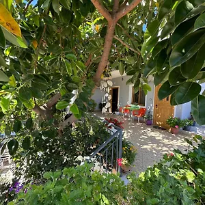  Guest house Albi's Albania